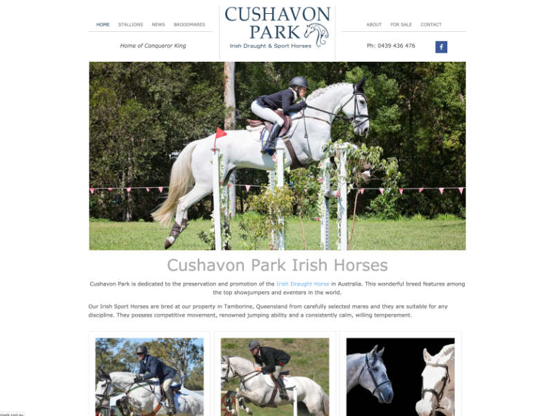 Cushavon Park Irish Sporthorses